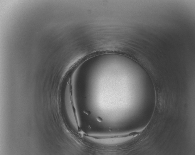 X0000077380680200610271946