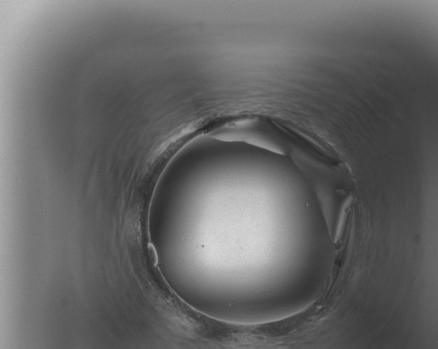 X0000077380681200610271946