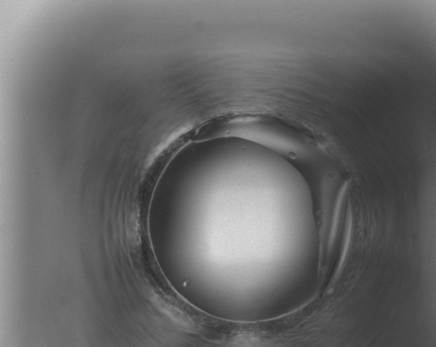 X0000077380684200610271946