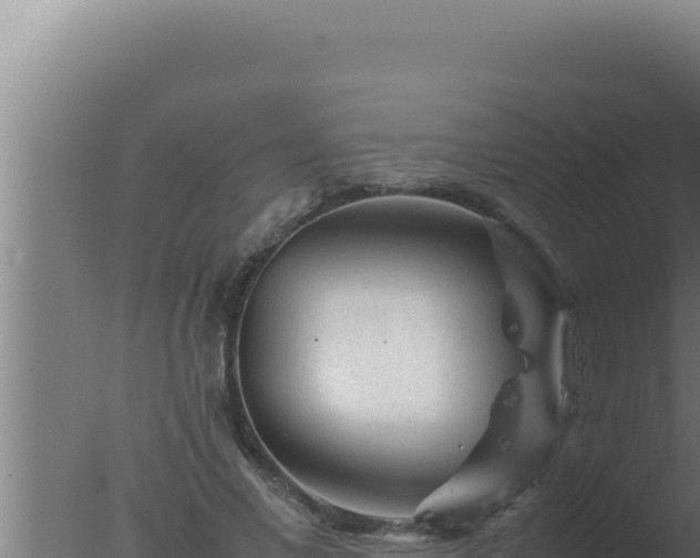 X0000077380685200610271946