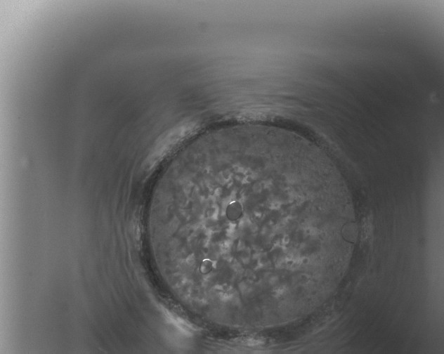 X0000077380687200610271946