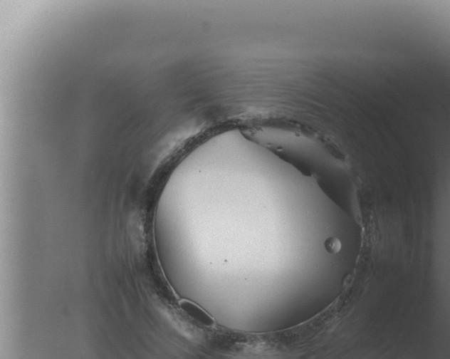 X0000077380688200610271946