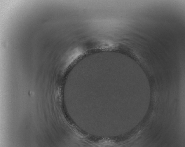 X0000077380689200610271946