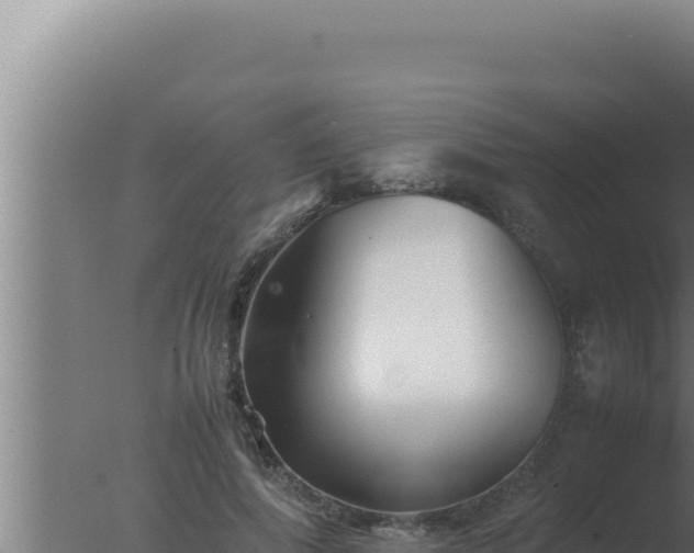 X0000077380690200610271946