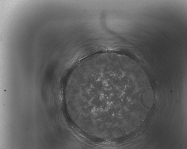 X0000077380691200610271946