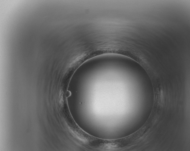 X0000077380692200610271946