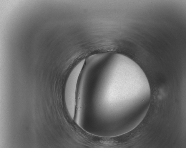 X0000077380693200610271946