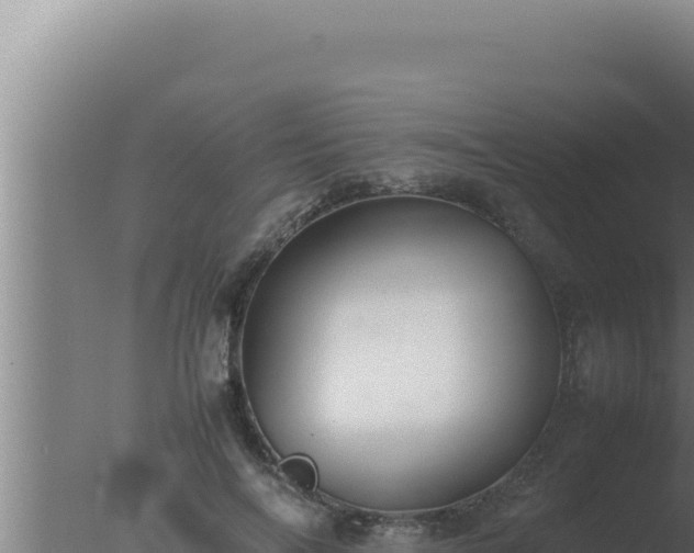 X0000077380694200610271946