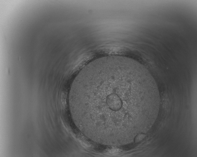 X0000077380695200610271946