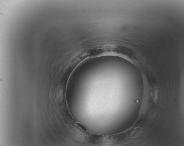 X0000077380697200610271946