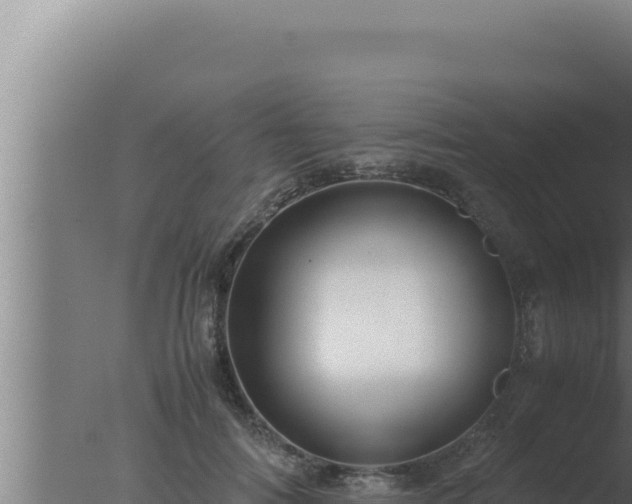 X0000077380698200610271946