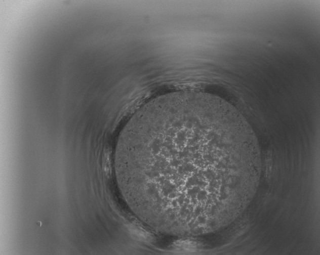 X0000077380699200610271946