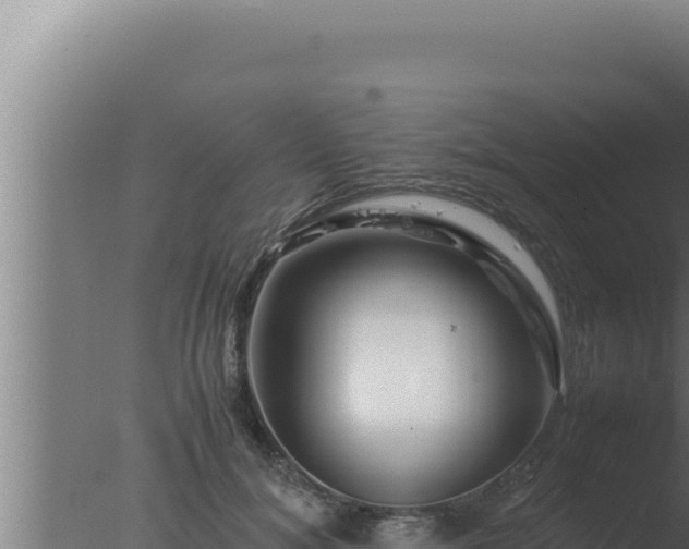 X0000077380700200610271946