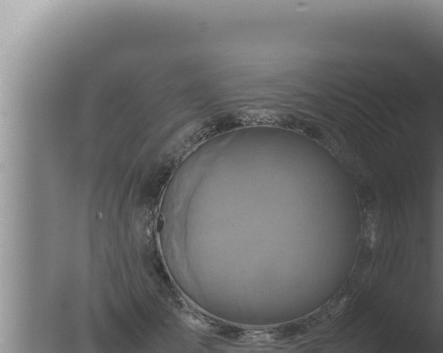 X0000077380701200610271946