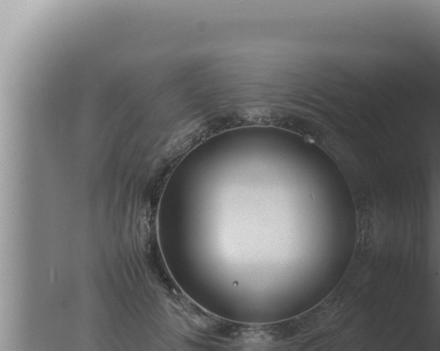 X0000077380702200610271946