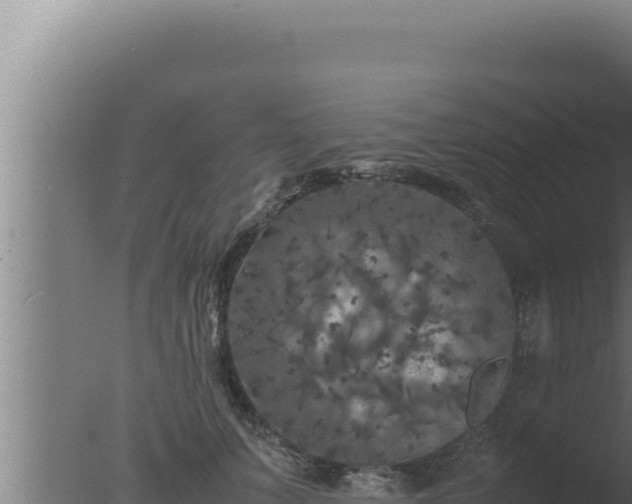 X0000077380703200610271946