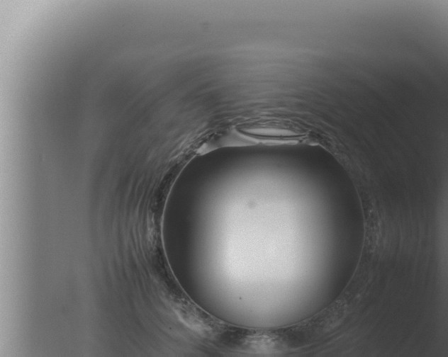 X0000077380704200610271946