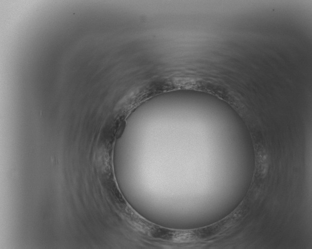 X0000077380705200610271946