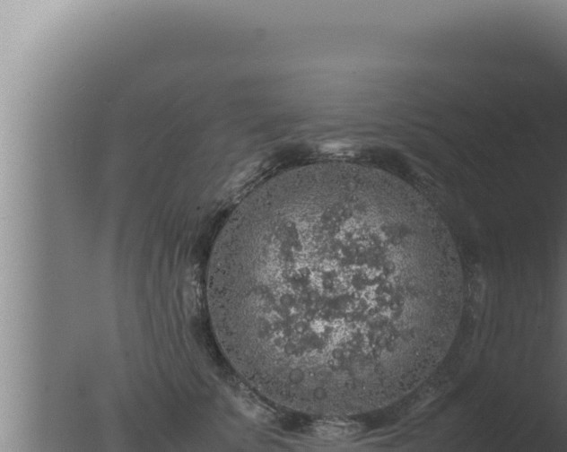 X0000077380707200610271946