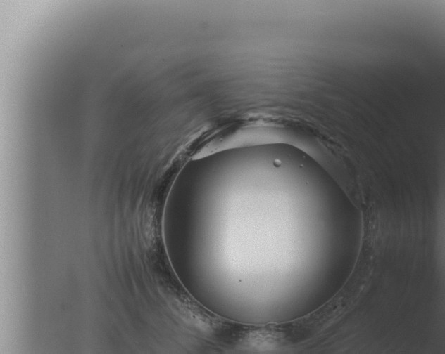 X0000077380708200610271946