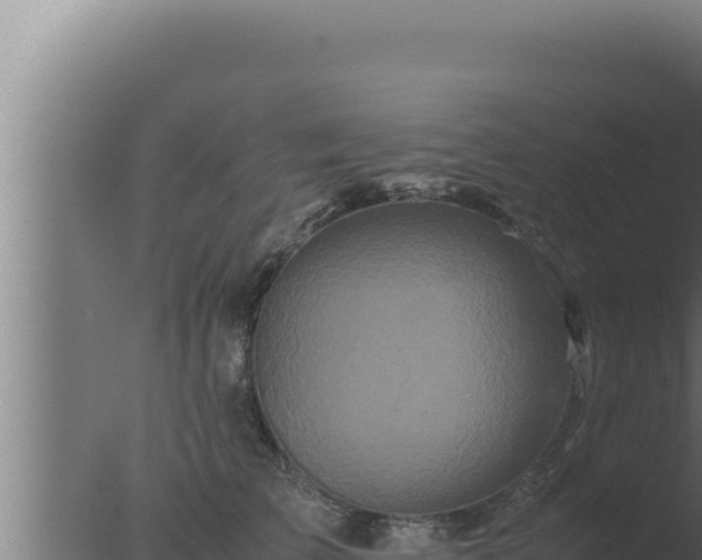 X0000077380709200610271946