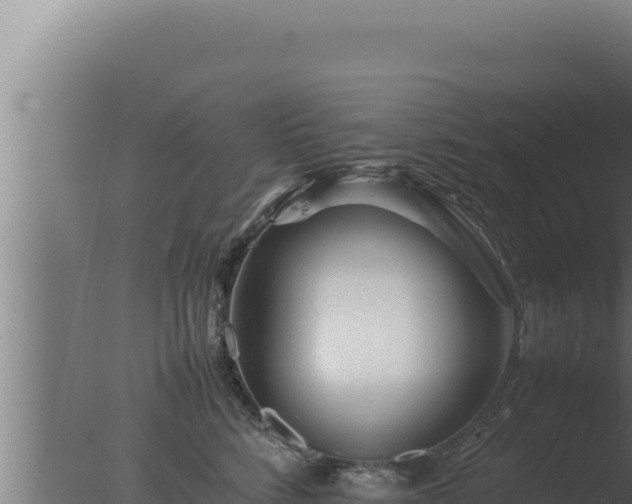 X0000077380712200610271946