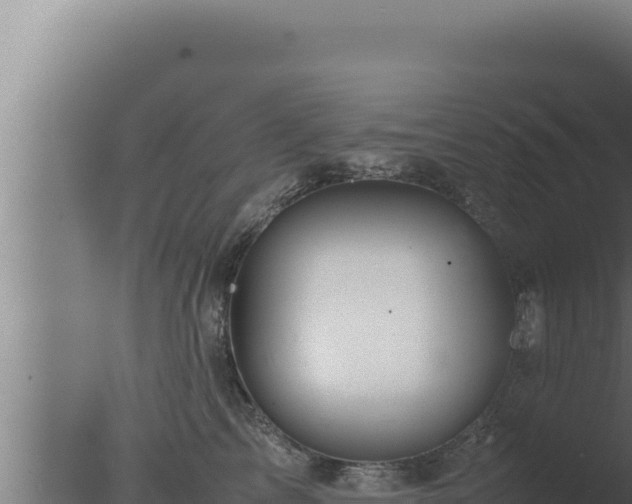 X0000077380713200610271946