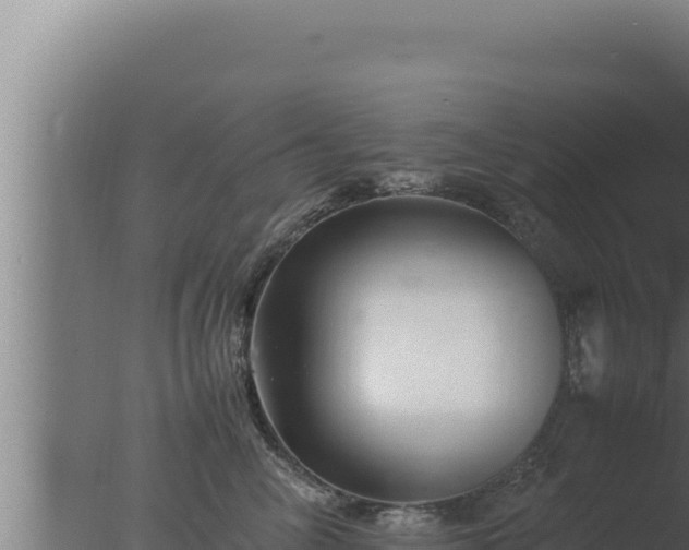 X0000077380714200610271946