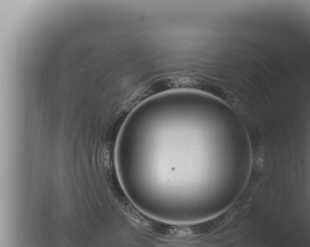 X0000077380715200610271946