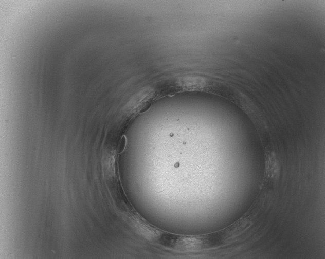 X0000077380717200610271946