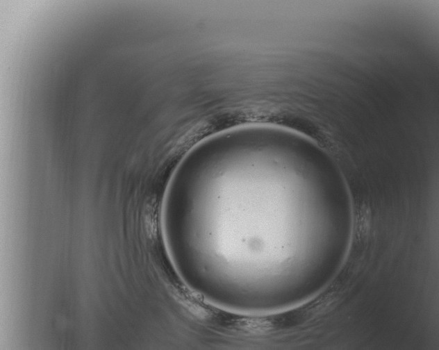 X0000077380719200610271946