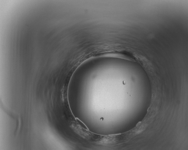 X0000077380720200610271946