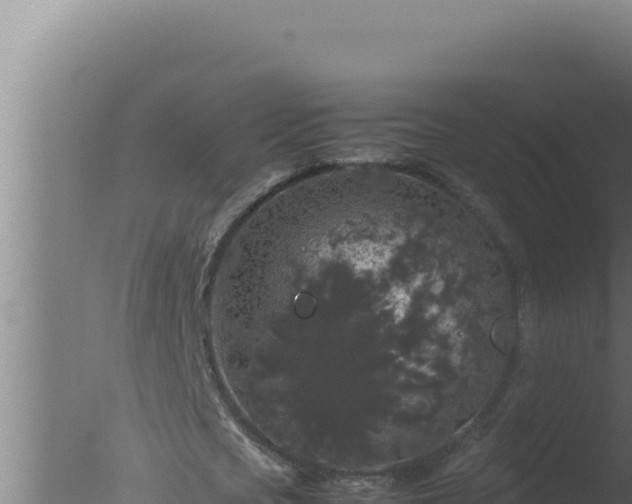 X0000077380721200610271945