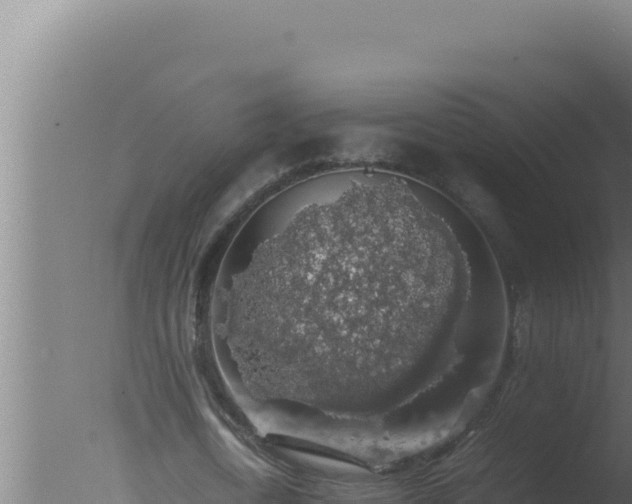 X0000077380722200610271945