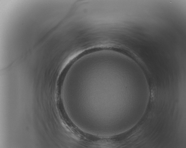 X0000077380724200610271945