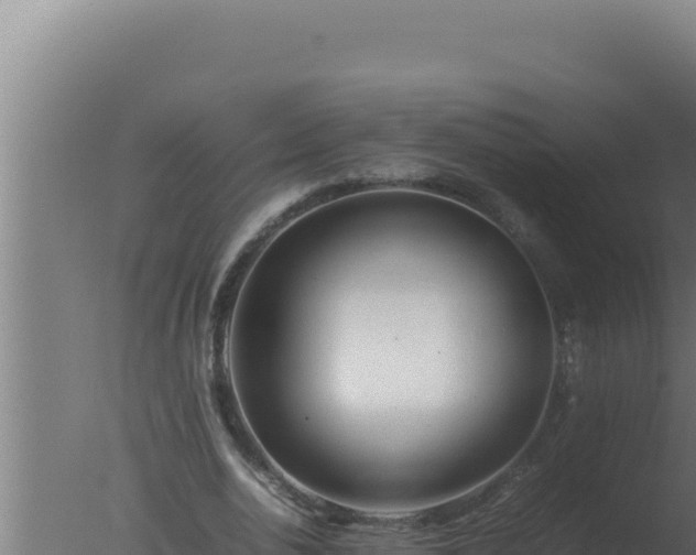 X0000077380726200610271945