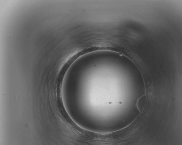 X0000077380727200610271945