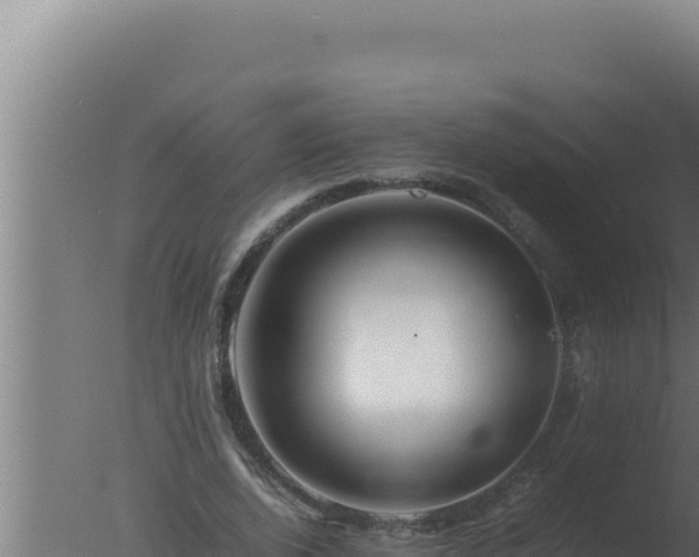 X0000077380728200610271945