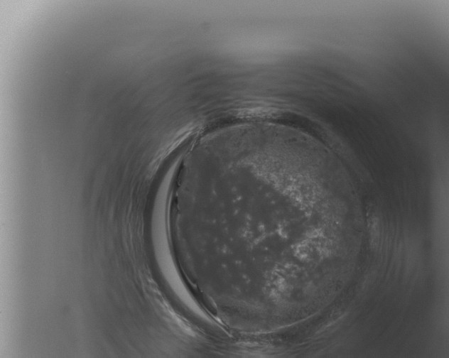 X0000077380729200610271945