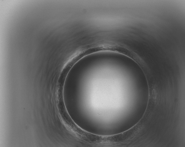 X0000077380730200610271945