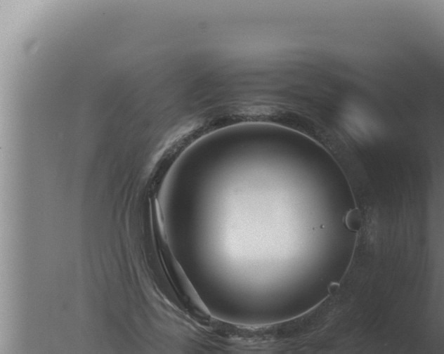 X0000077380731200610271945