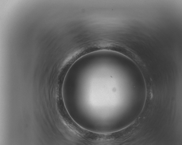 X0000077380732200610271945