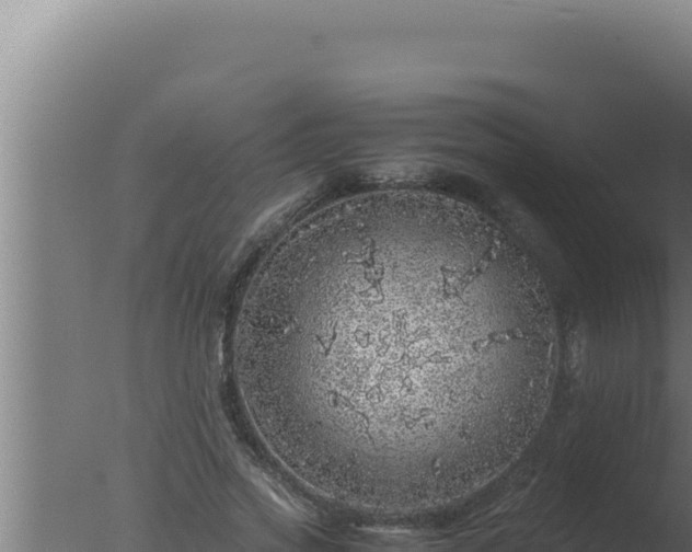 X0000077380733200610271945