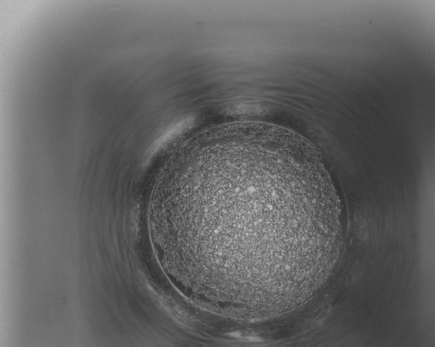 X0000077380735200610271945