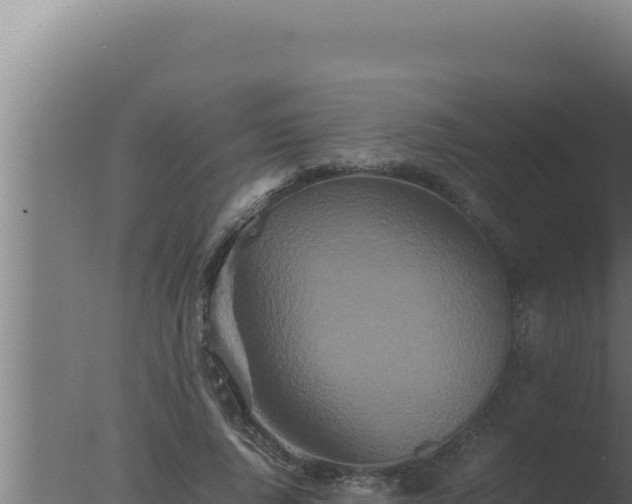 X0000077380736200610271945