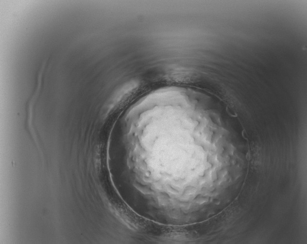 X0000077380738200610271945