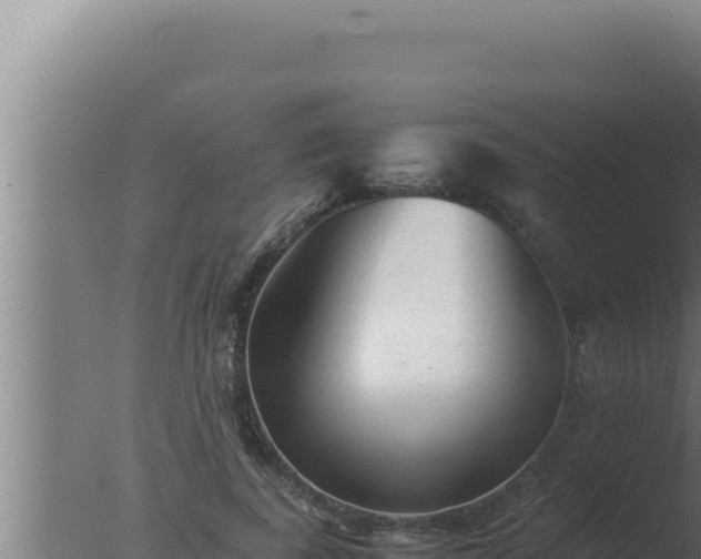 X0000077380739200610271945