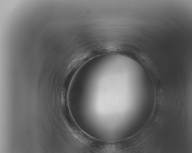 X0000077380740200610271945