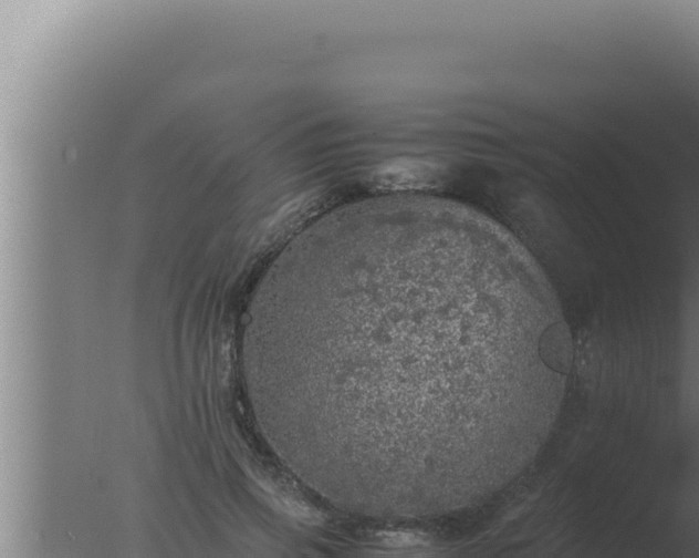 X0000077380741200610271945