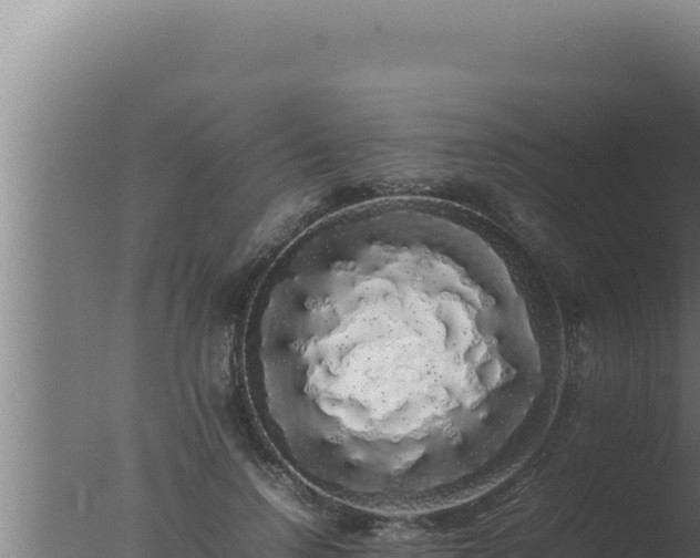 X0000077380742200610271945